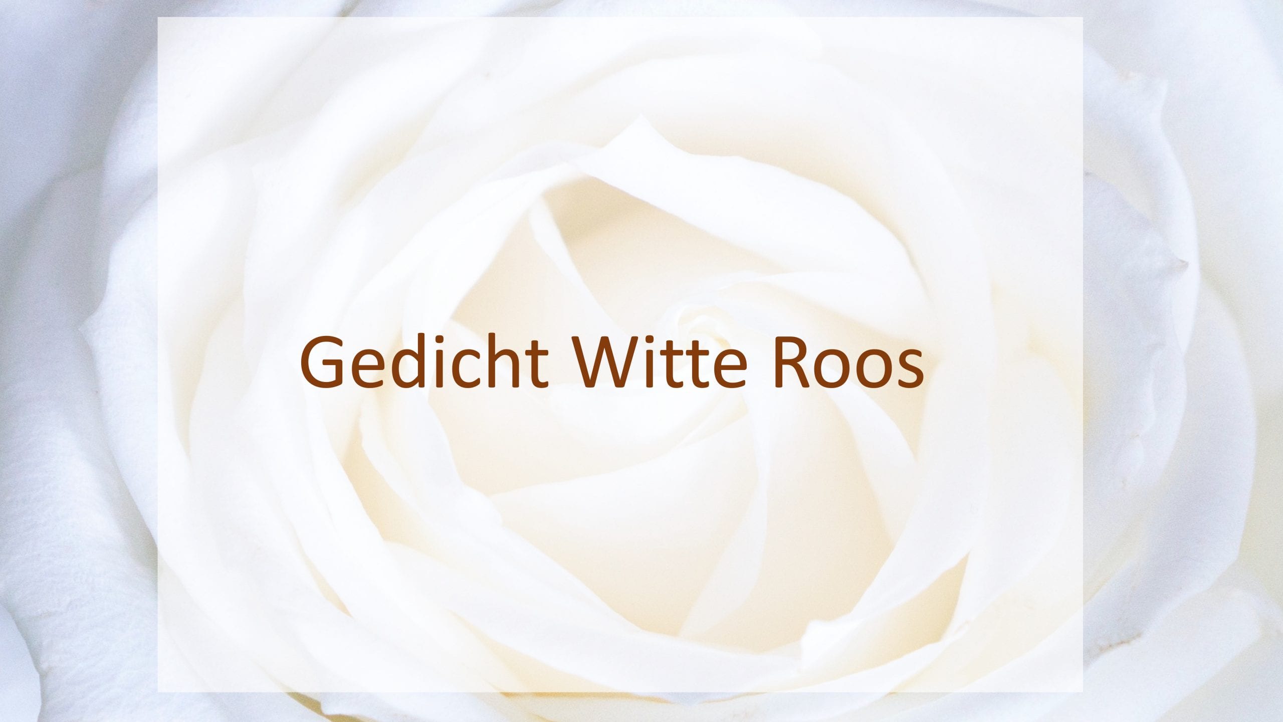 gedicht witte roos titel
